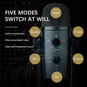 Pro Studio Desktop Condenser Micro Phone
