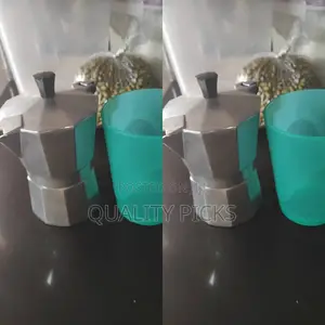 Stainless Steel Coffee Pot