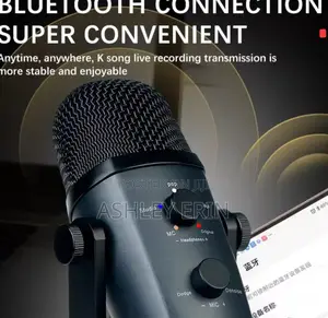 Pro Studio Desktop Condenser Microphone