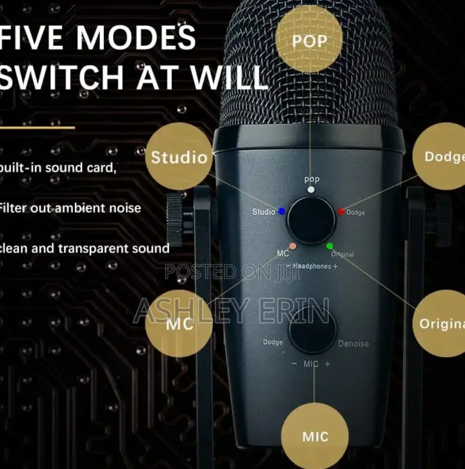 Pro Studio Desktop Condenser Microphone
