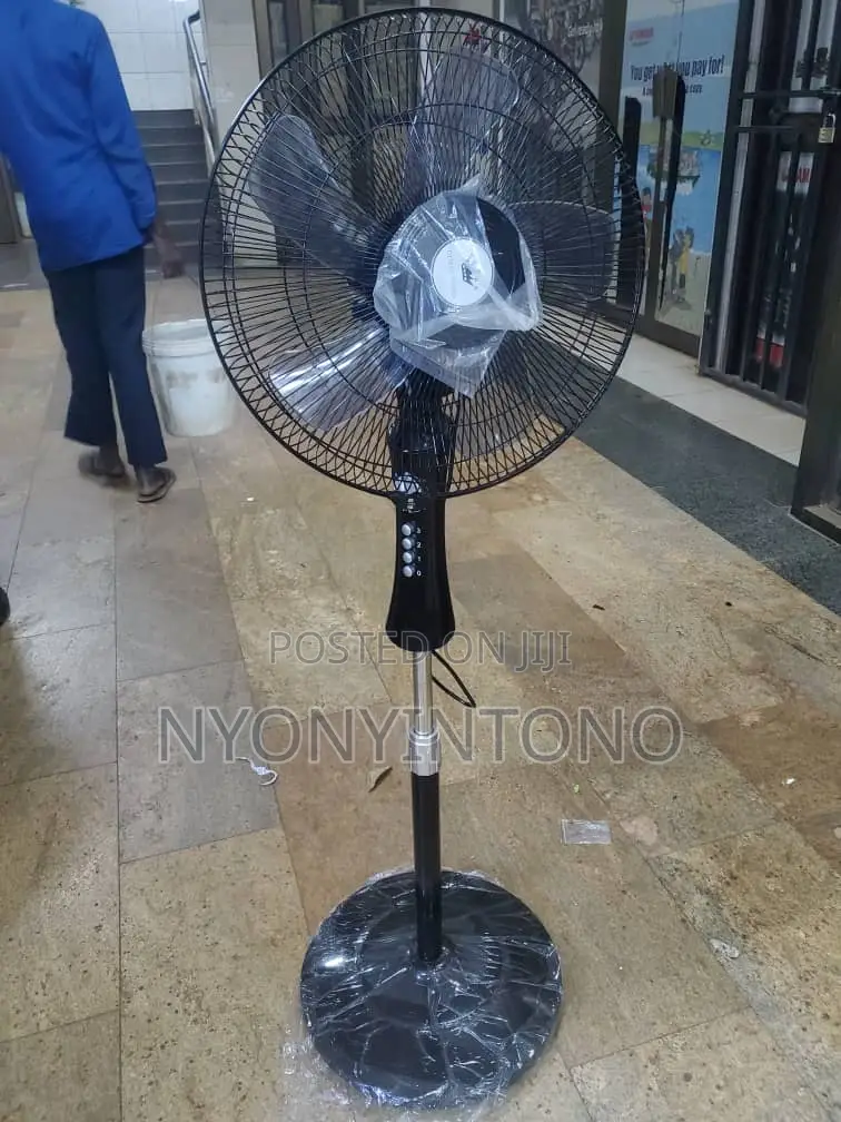 Cytech Crown Fan and Timer Which Is Strong and Adorable