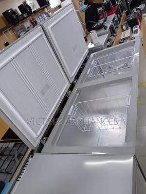 Hisense 660liters Double Door Chest Freezer