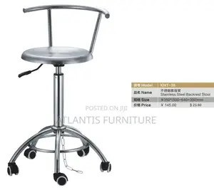 Stainless Steel Backrest Stool