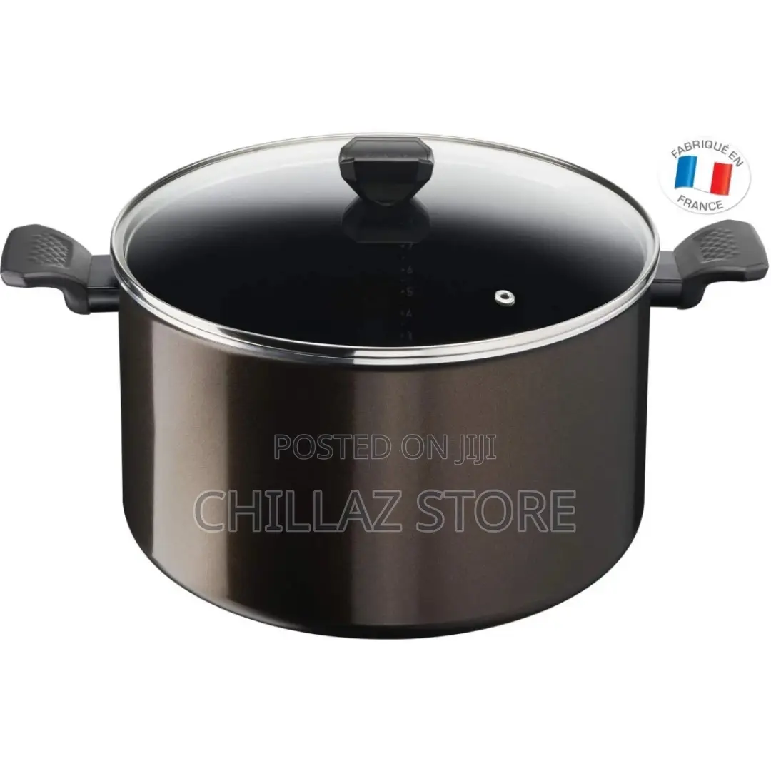 Tefal Easy Cook Clean B5546902 30 CM Nonstick Cooking Pot