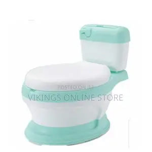 Baby Flash Potty