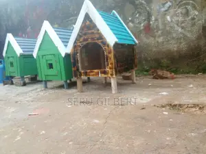 Malteseee Dog House Available