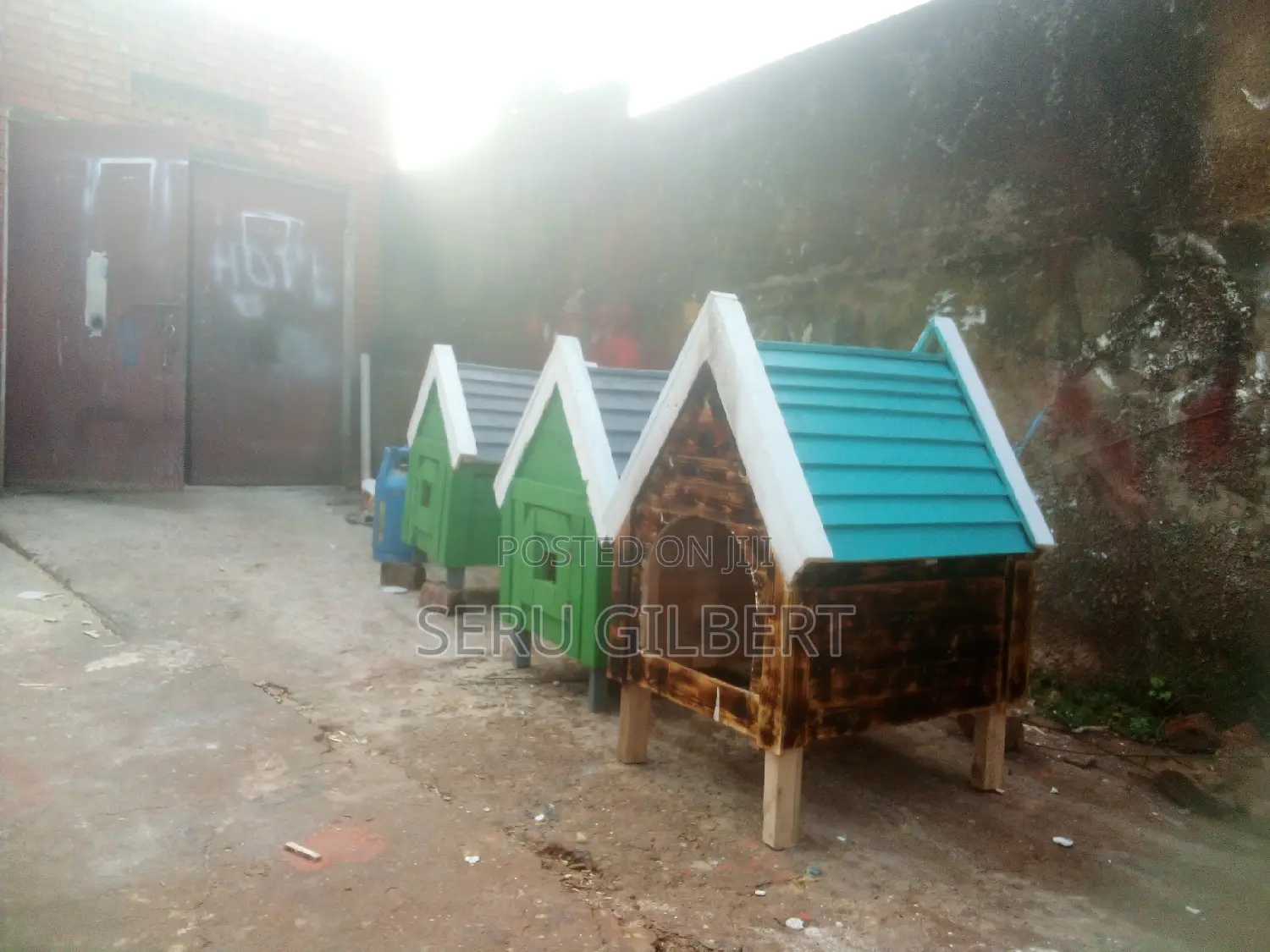 2to3 Malteseee Dog House