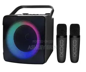 SD-508 Portable Bluetooth Karaoke Speaker With 2 Microphone