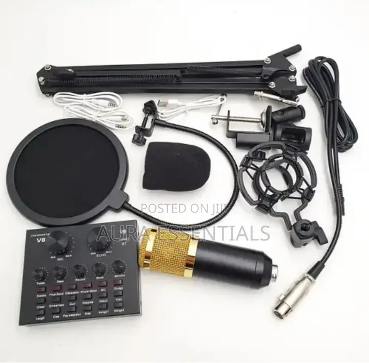 Professional BM 800 Condenser Studio Microphone