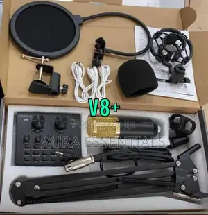 Professional BM 800 Condenser Studio Microphone