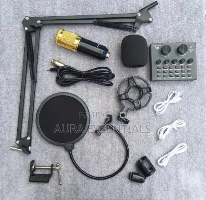 Professional BM 800 Condenser Studio Microphone