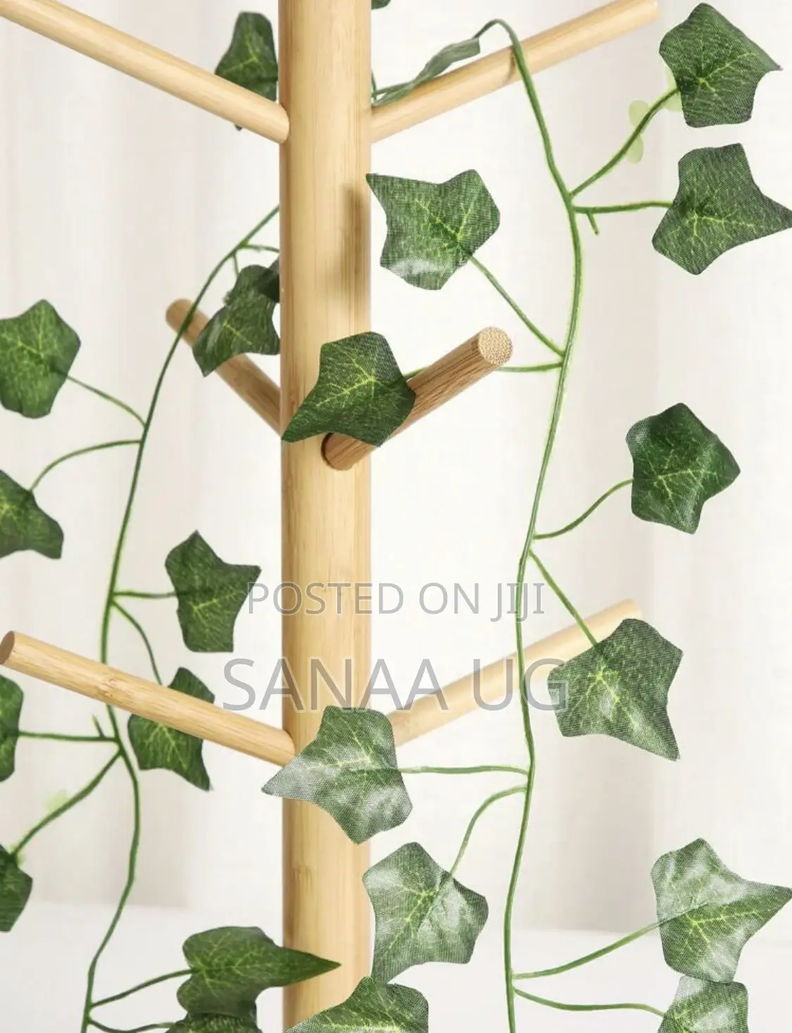 Plain Leaf Vine