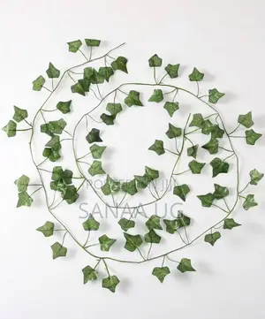 Plain Leaf Vine