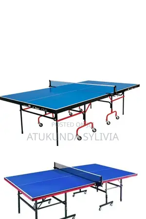 Table Tennis Table