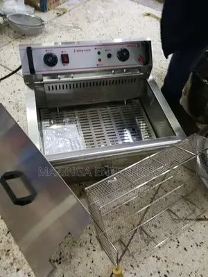 Commercial 21litres Fish Deep Fryer