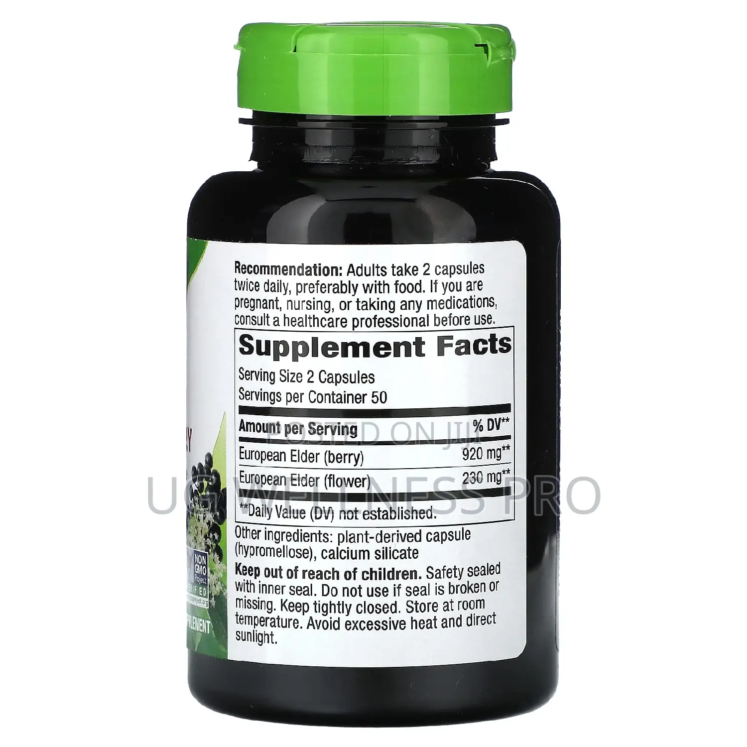 Nature's Way, Black Elderberry, 1,150 Mg, 100 Vegan Caps