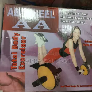 2 in 1 Ab Gym Roller