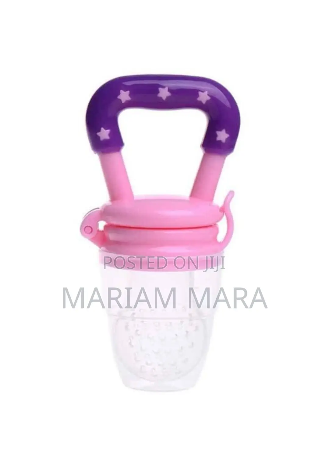Baby Fruit Pacifier/Feeder