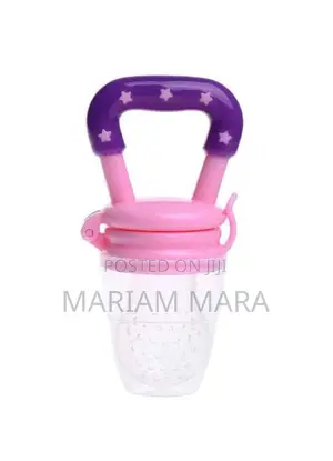 Baby Fruit Pacifier/Feeder