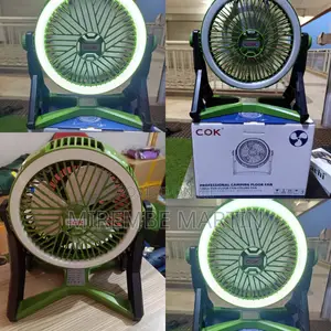 Professional Camping Floor Fan.