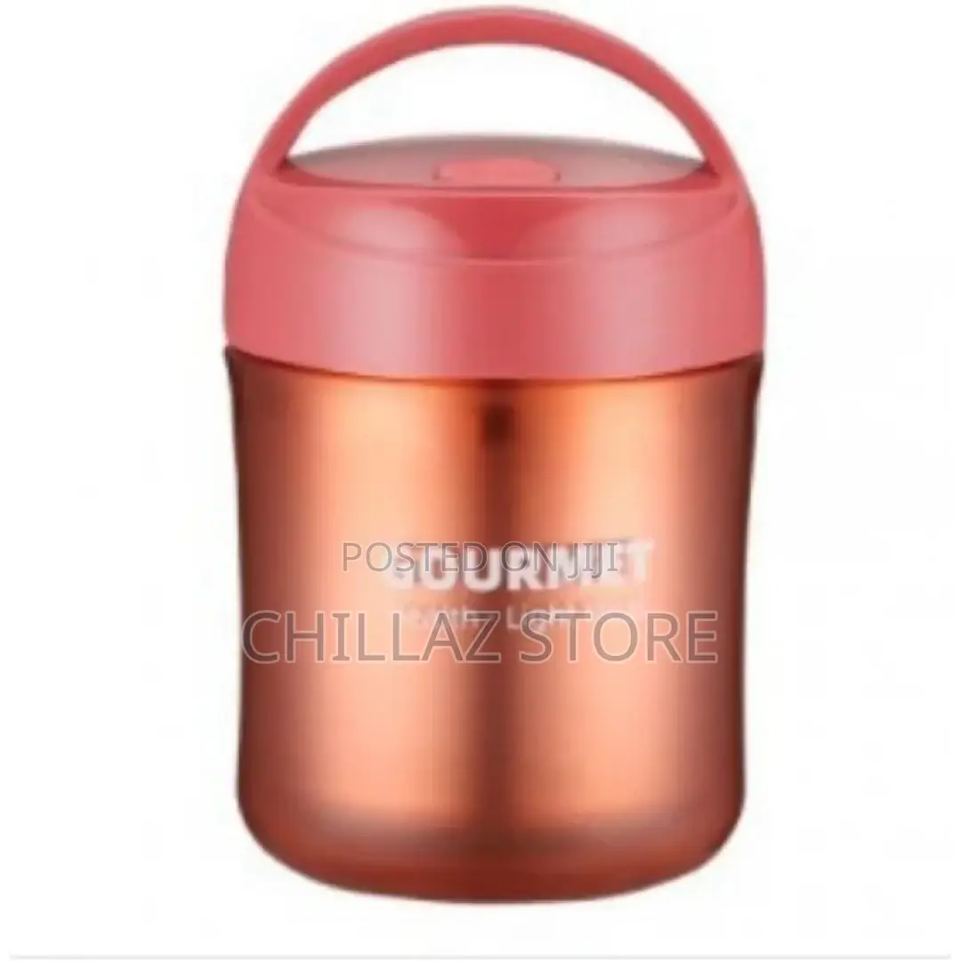 Gourmet Plastic Insulated Lunch Box Thermal Food Flask,500ml