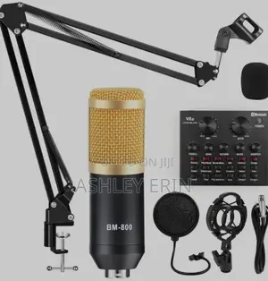 Professional BM 800 Studio Microphone