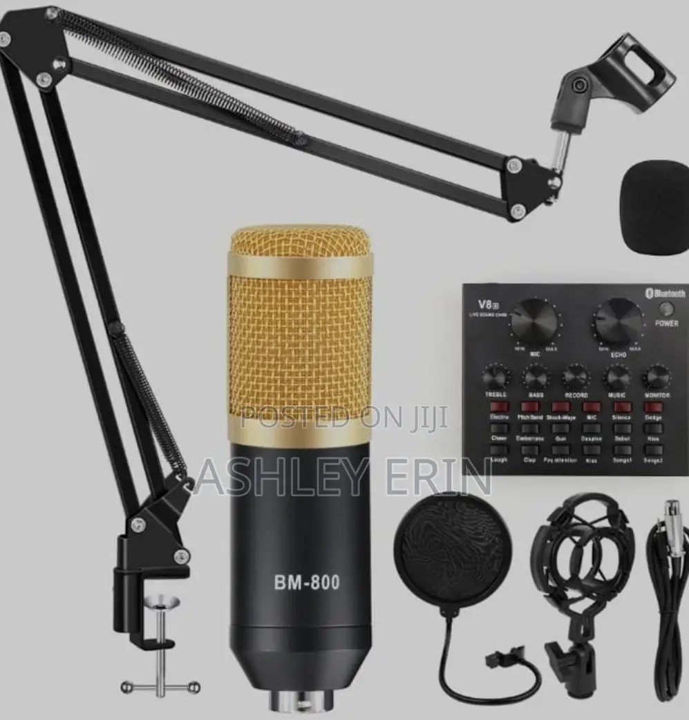 Professional BM 800 Studio Microphone