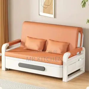 Foldable Living Room Sofa Beds (Double)