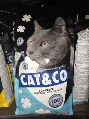 Cat Co Fish  Dry Cat Food From Germany 2kg