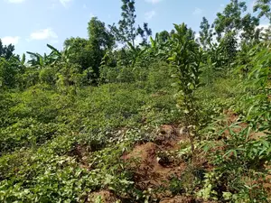 Plot for Sale
