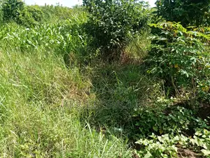 Plot for Sale