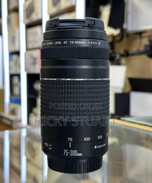Canon EF 75-300mm F/4-5.6 III Len
