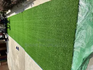 Artificial Grass Carpet