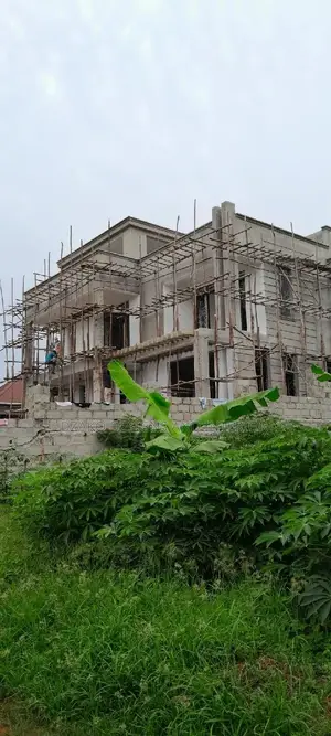 House Painting