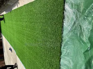 Artificial Grass Carpet