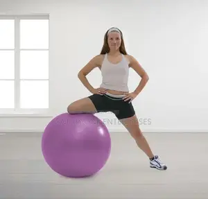 Multifunctional Gym Balls Training Equipment