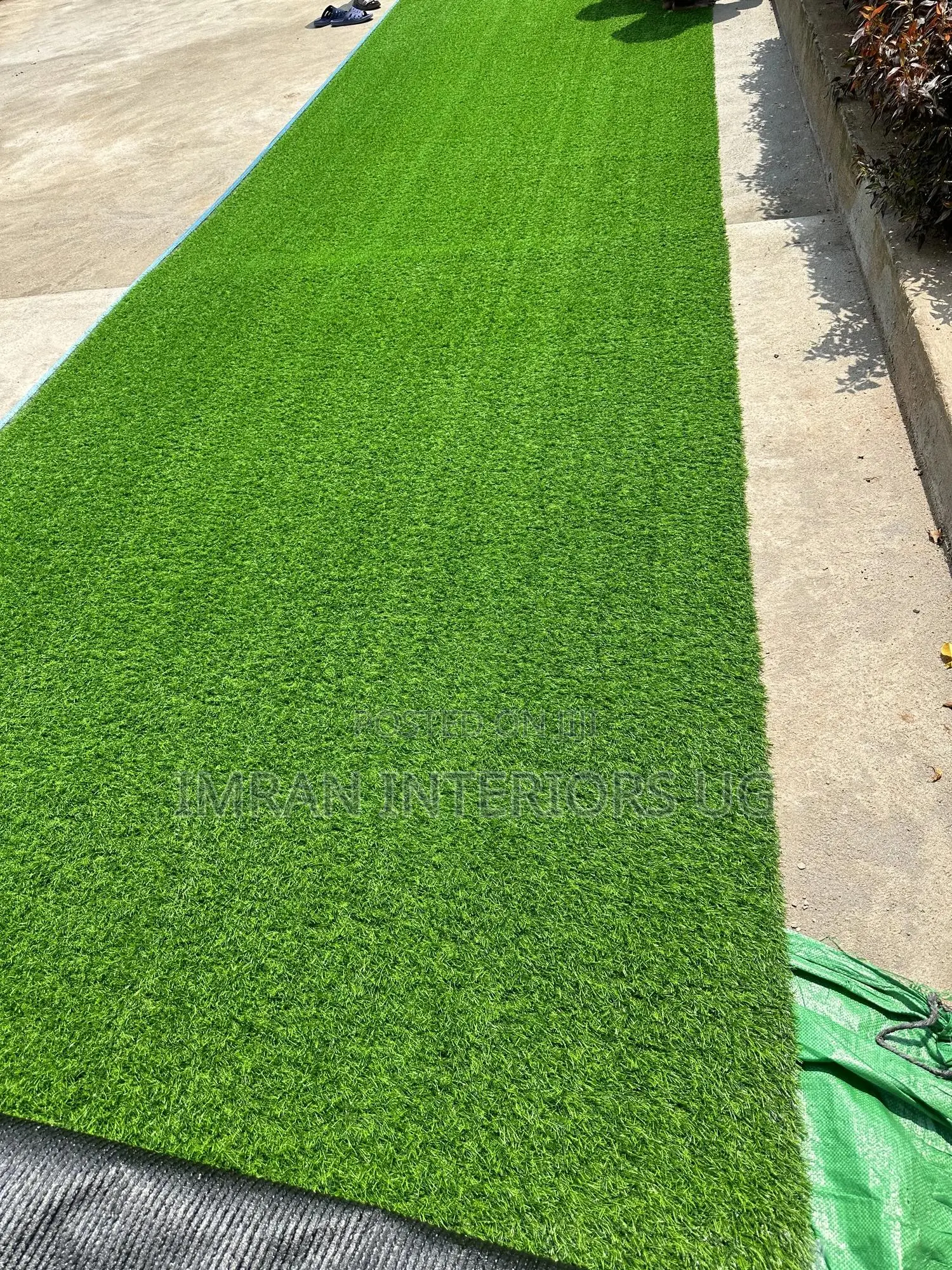 Artificial Grass Grass