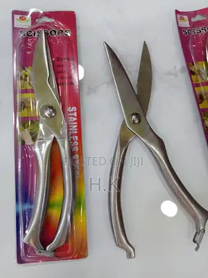High Quality Stainless Steel Scissor