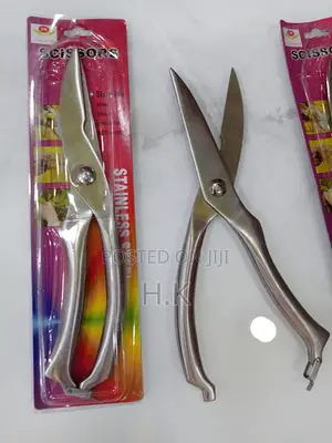 High Quality Stainless Steel Scissor