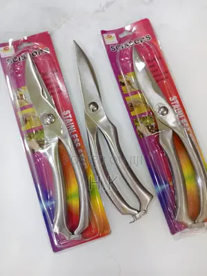 High Quality Stainless Steel Scissor
