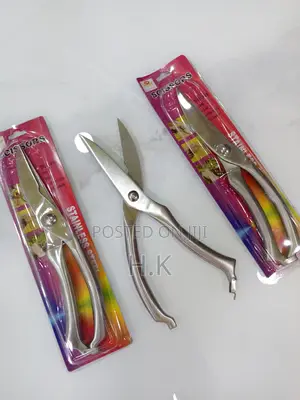High Quality Stainless Steel Scissor