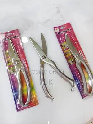 High Quality Stainless Steel Scissor