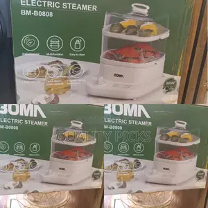 Electric BOMA Steamer