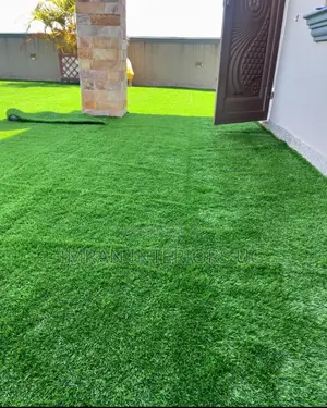 Artificial Grass Carpet