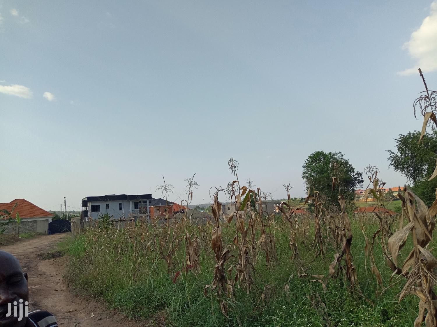 Gorgeous Plot in Kira on Sell