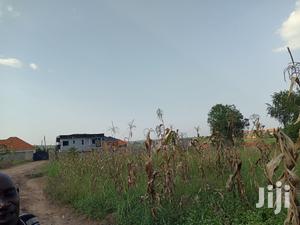 Gorgeous Plot in Kira on Sell