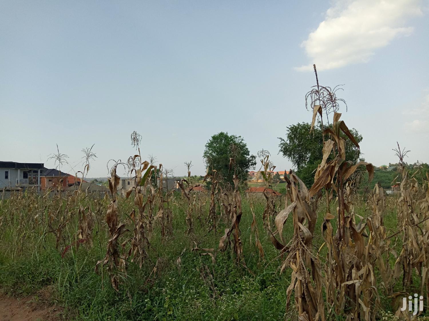 Gorgeous Plot in Kira on Sell