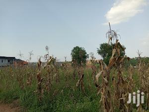 Gorgeous Plot in Kira on Sell