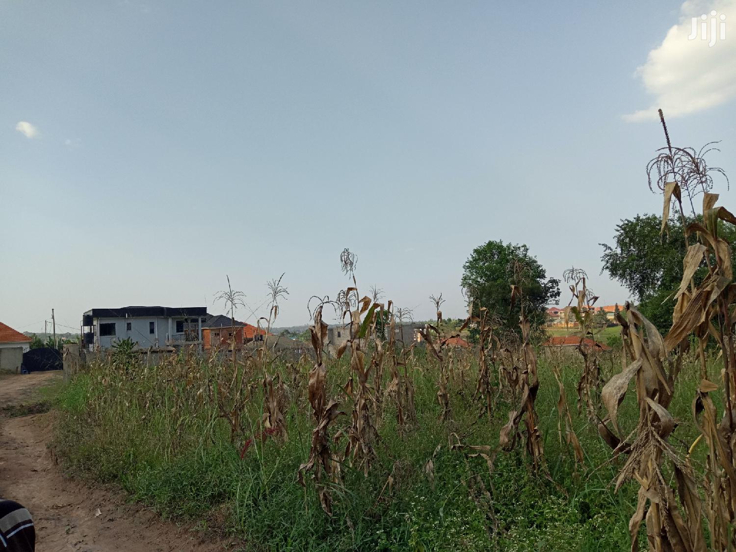 Gorgeous Plot in Kira on Sell