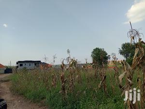 Gorgeous Plot in Kira on Sell